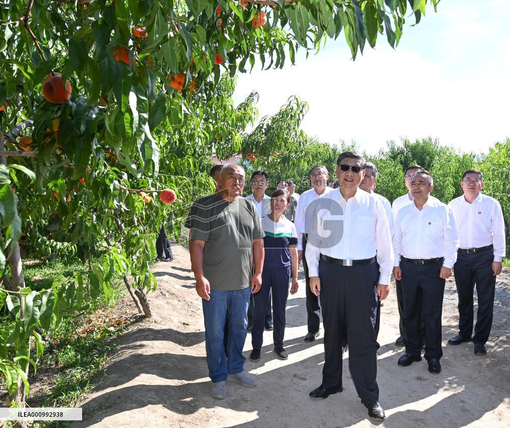 CHINA-XINJIANG-XI JINPING-INSPECTION (CN)