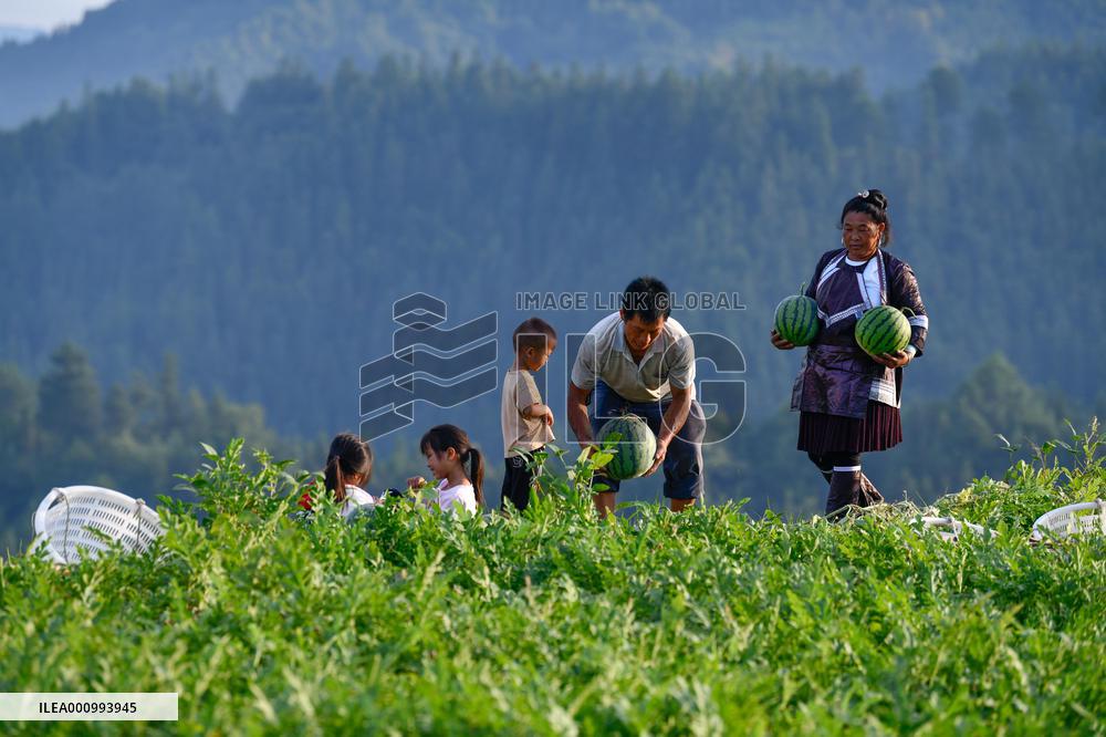 CHINA-GUIZHOU-RONGJIANG-WATERMELON-ECONOMY (CN)