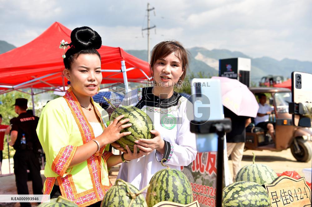 #CHINA-GUIZHOU-RONGJIANG-WATERMELON-ECONOMY (CN)