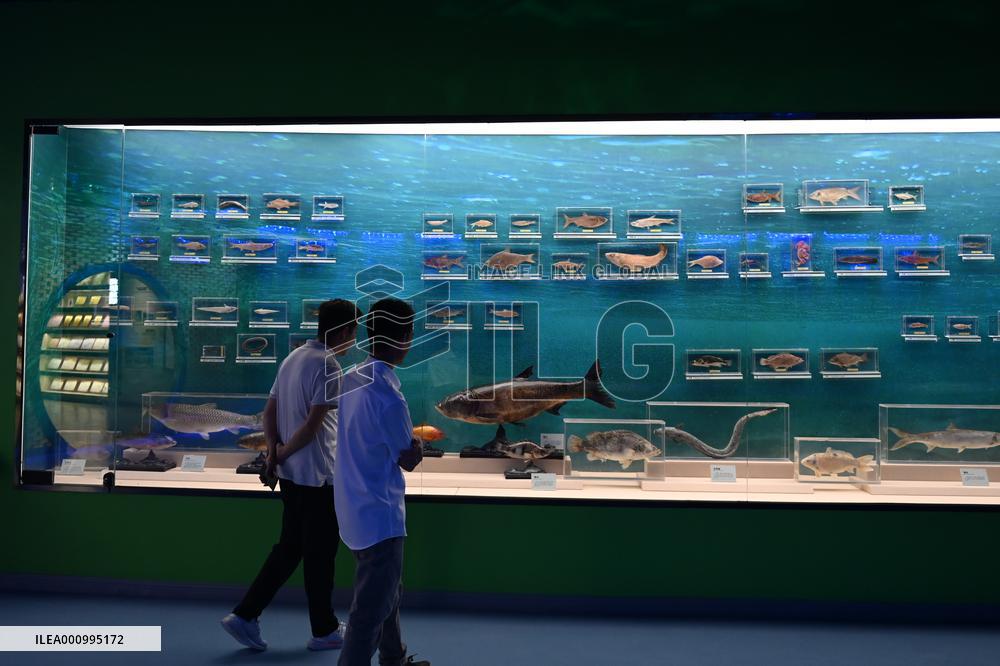 (ZhejiangPictorial) CHINA-ZHEJIANG-QINGTIAN-RICE-FISH CO-CULTURE SYSTEM (CN)