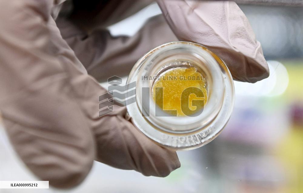 Cannabis store OG in Eugene