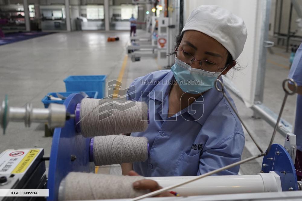 CHINA-QINGHAI-XINING-TIBETAN CARPET(CN)