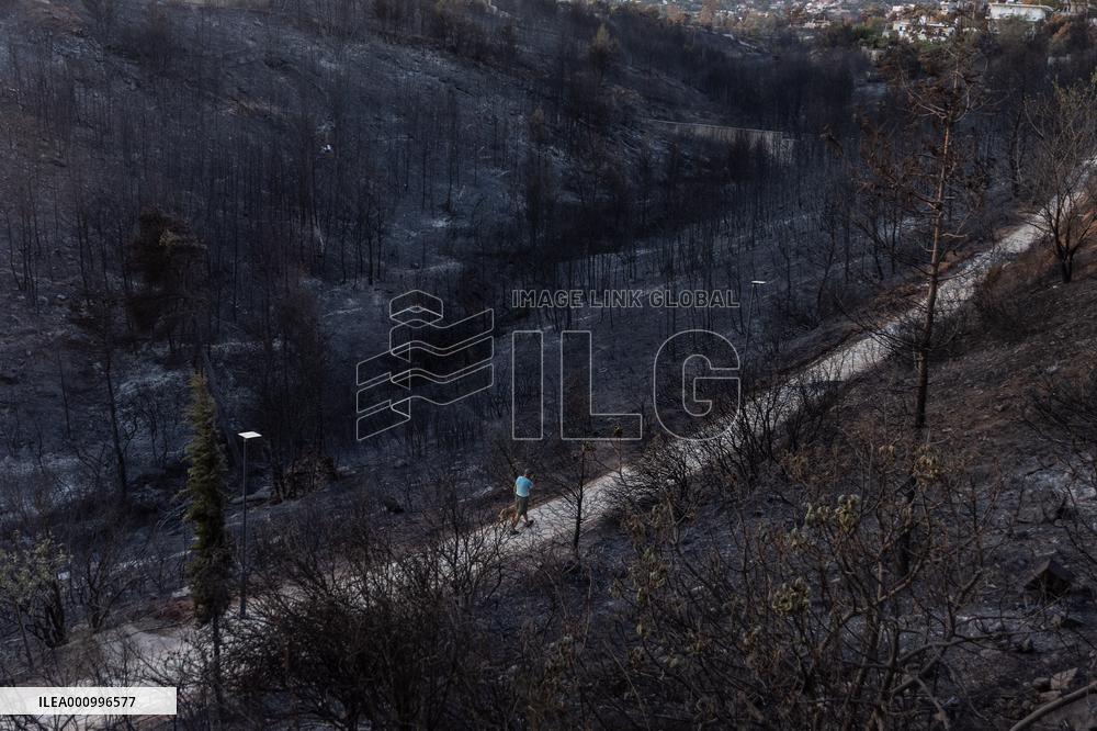 GREECE-ATHENS-WILDFIRE-AFTERMATH