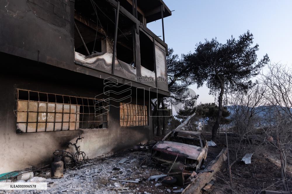 GREECE-ATHENS-WILDFIRE-AFTERMATH