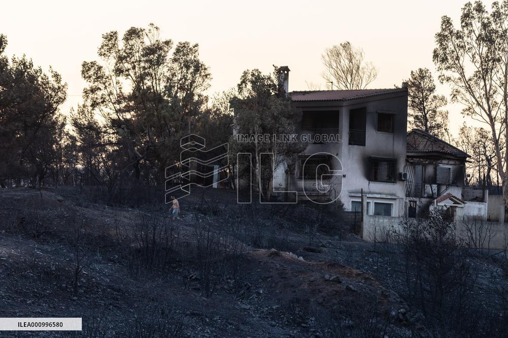 GREECE-ATHENS-WILDFIRE-AFTERMATH