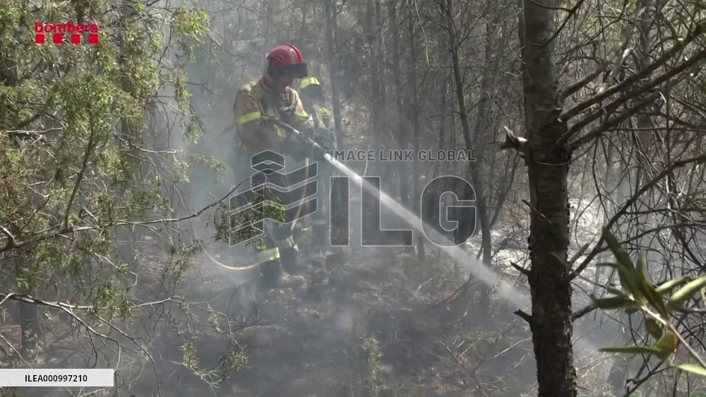 Ecology expert warns against recurring wildfires in Spain