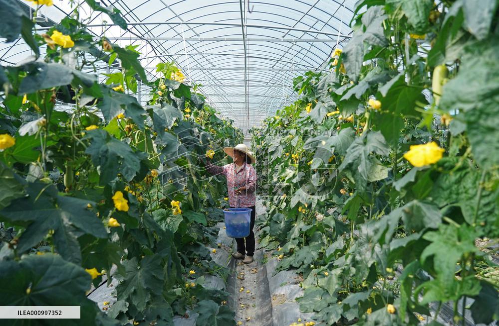 Xinhua Headlines: 10 years on, old revolutionary base embarks on new development path