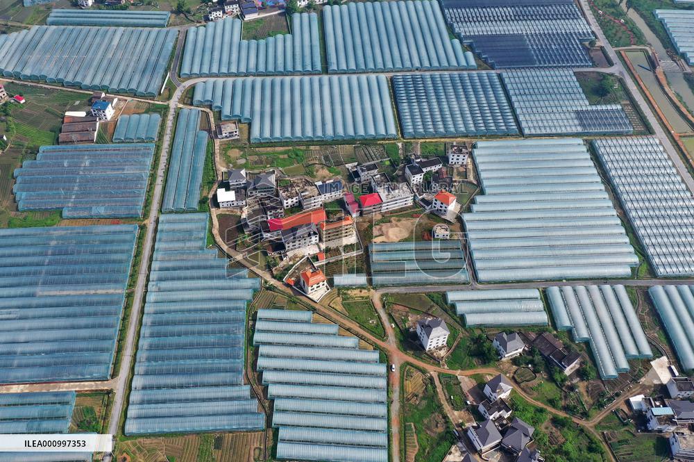Xinhua Headlines: 10 years on, old revolutionary base embarks on new development path