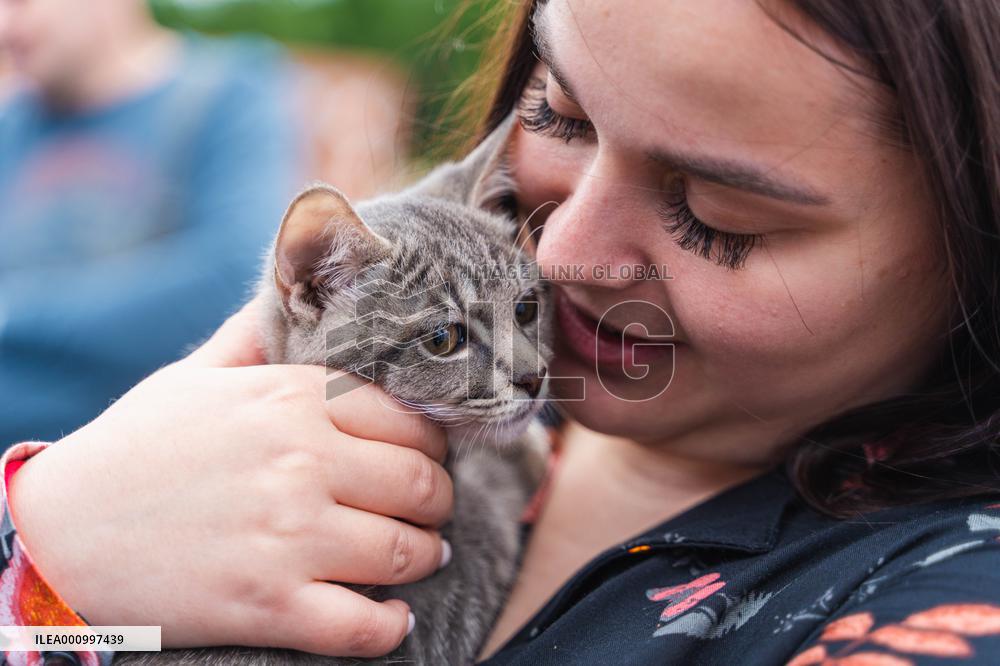 RUSSIA-VLADIVOSTOK-STRAY CAT-ADOPTION
