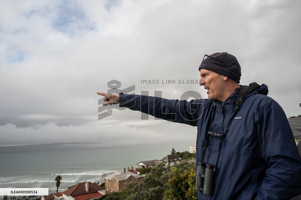 SOUTH AFRICA-CAPE TOWN-WHALE WATCHING-CITIZEN SCIENCE