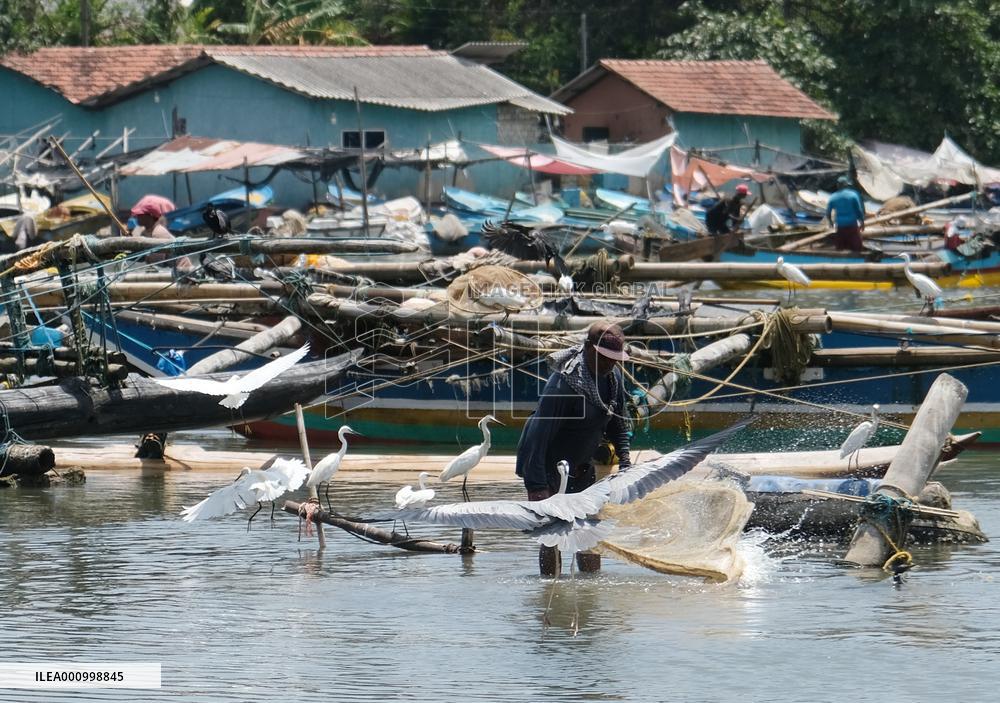 SRI LANKA-NEGOMBO-FISHING VILLAGE
