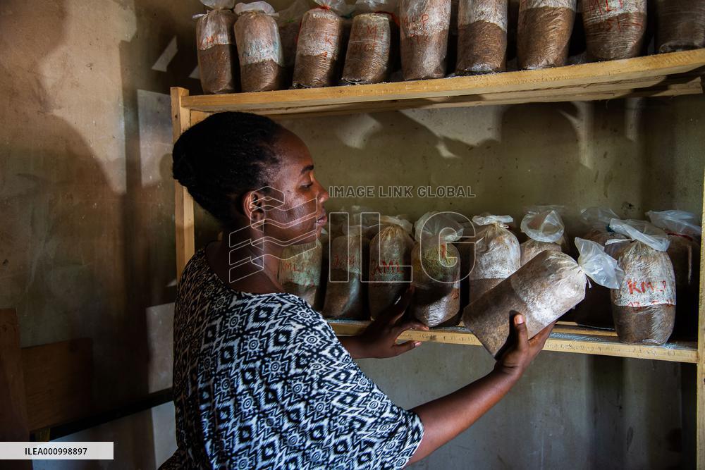 CENTRAL AFRICAN REPUBLIC-BANGUI-CHINESE JUNCAO TECHNOLOGY