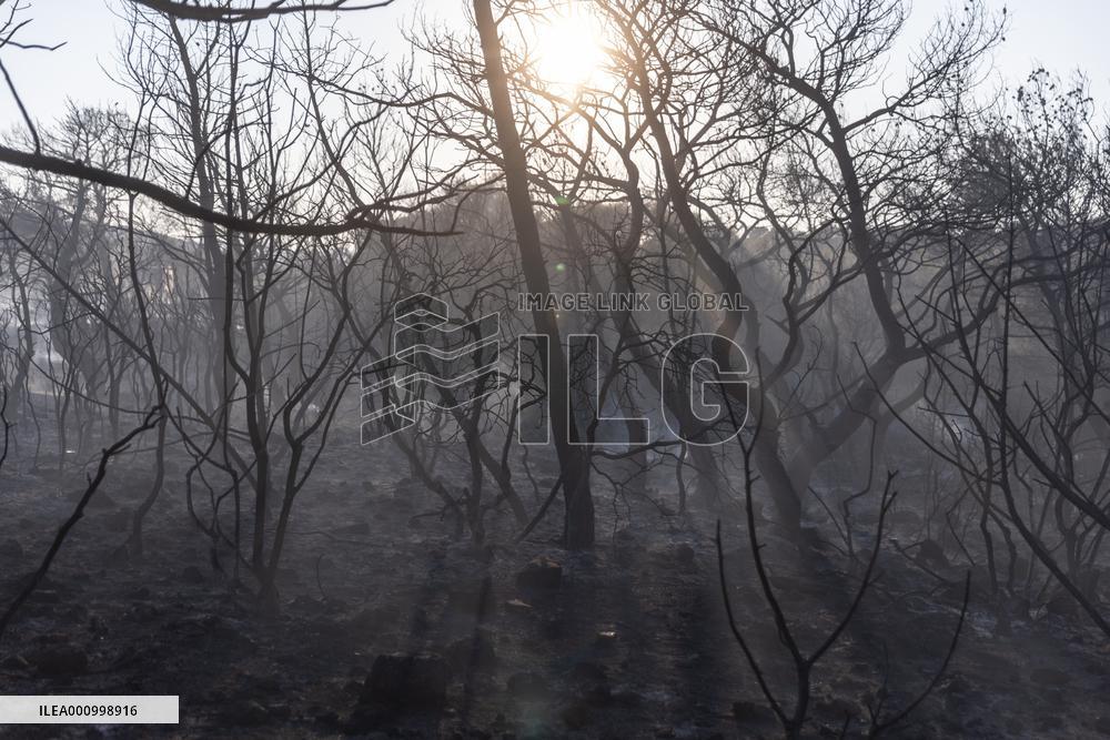 GREECE-ATTICA-WILDFIRE