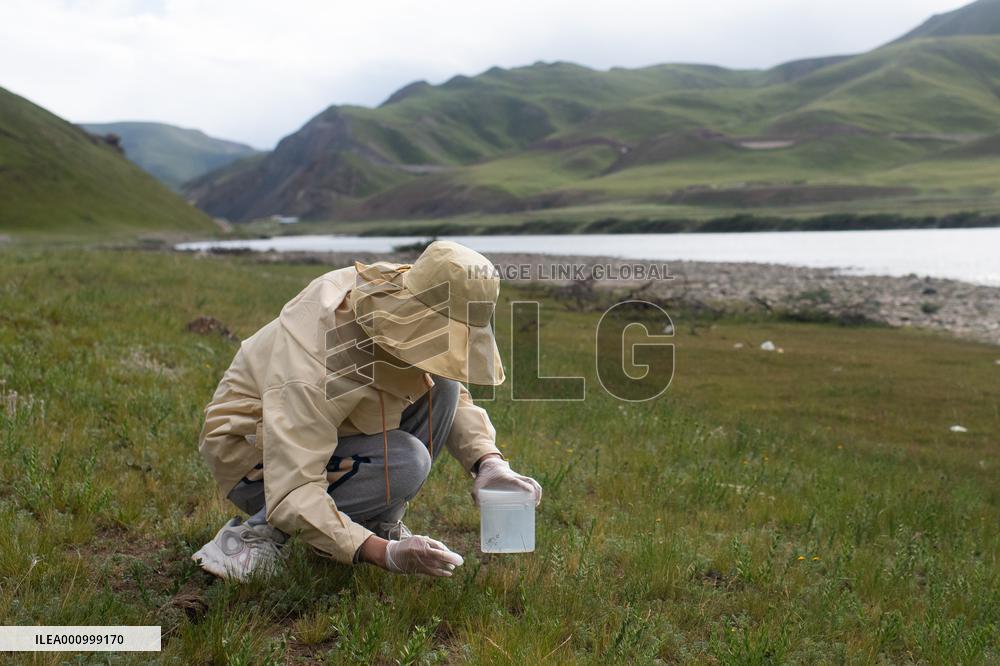 (EyesonSci)CHINA-QINGHAI-SCIENTIFIC EXPEDITION-BIODIVERSITY (CN)