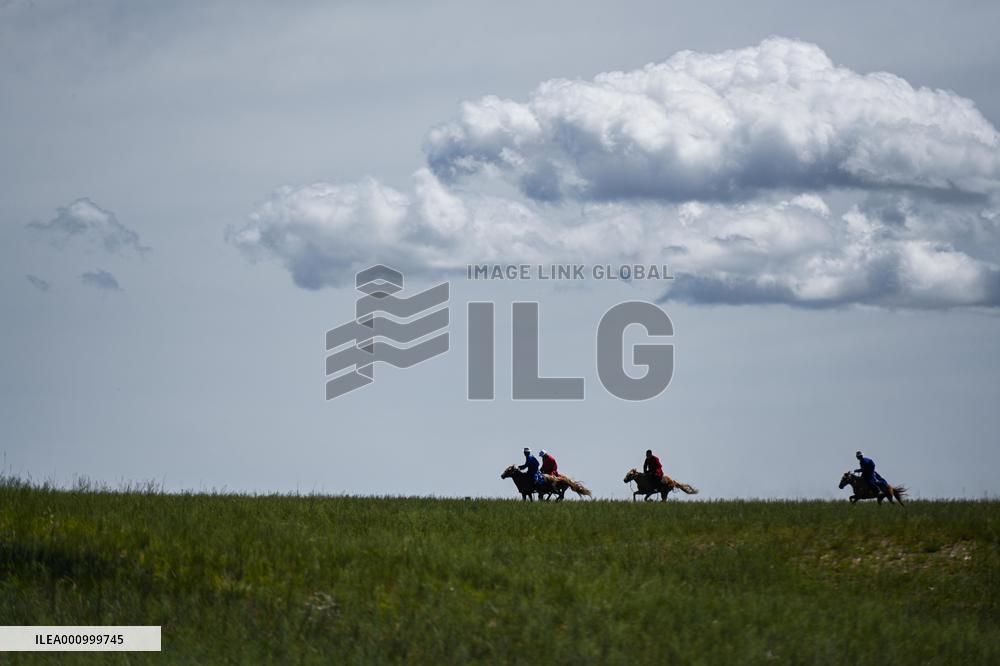CHINA-INNER MONGOLIA-XILINGOL LEAGUE-GRASSLAND-SUMMER (CN)