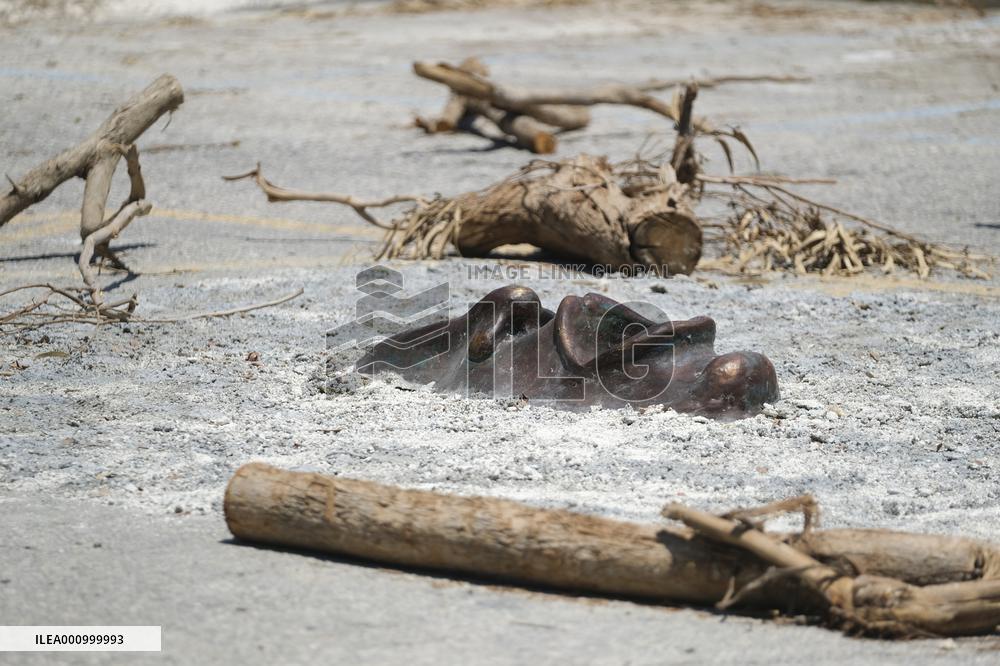 MALTA-MSIDA-TREE STUMPS-EXHIBITION