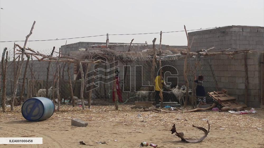 Livestock farmers in northern Yemen face mounting difficulties