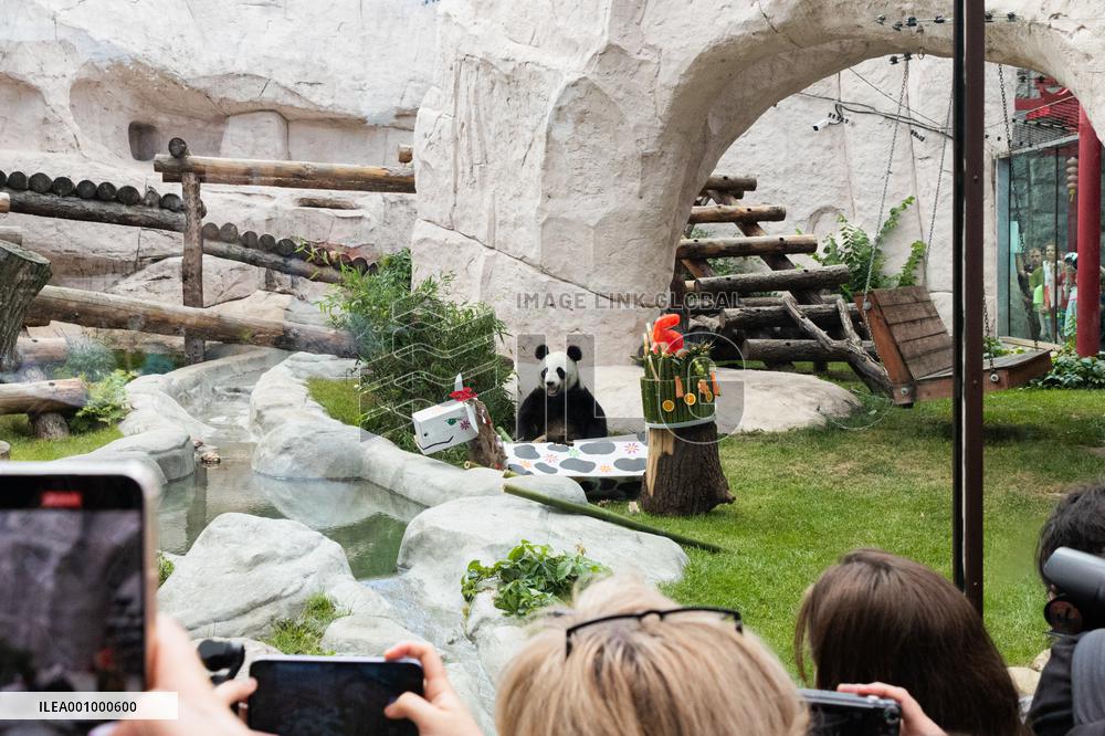 RUSSIA-MOSCOW-GIANT PANDAS-BIRTHDAY-CELEBRATION
