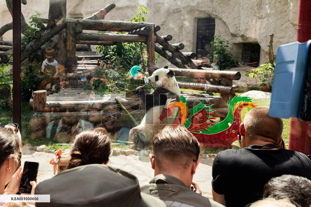 RUSSIA-MOSCOW-GIANT PANDAS-BIRTHDAY-CELEBRATION