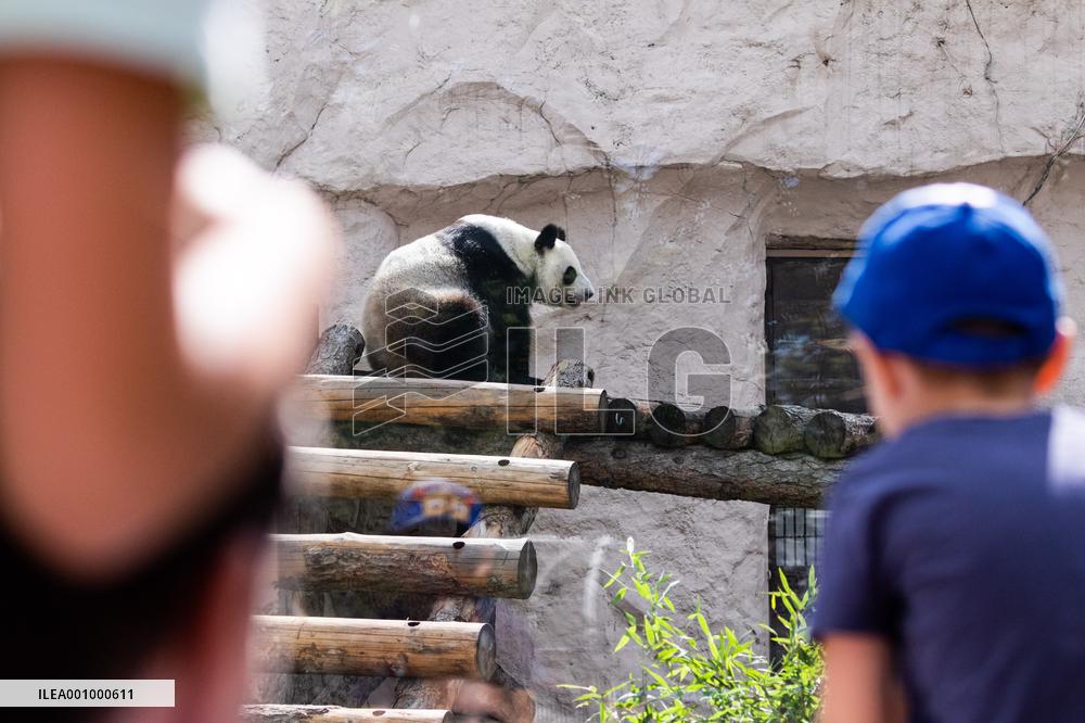 RUSSIA-MOSCOW-GIANT PANDAS-BIRTHDAY-CELEBRATION