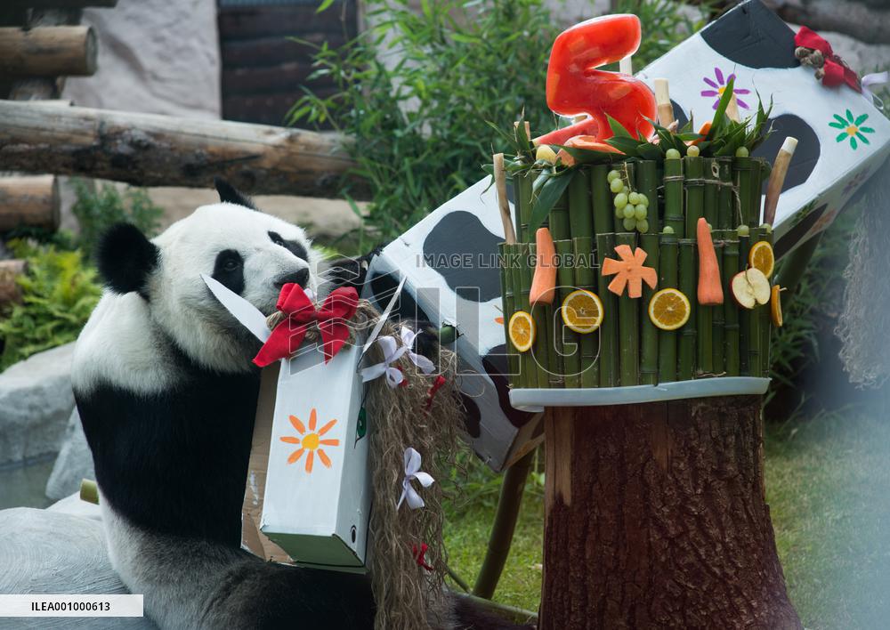 RUSSIA-MOSCOW-GIANT PANDAS-BIRTHDAY-CELEBRATION