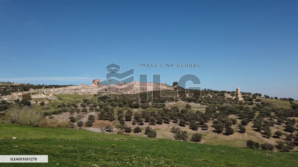 Tunisian government tries to revive tourism industry