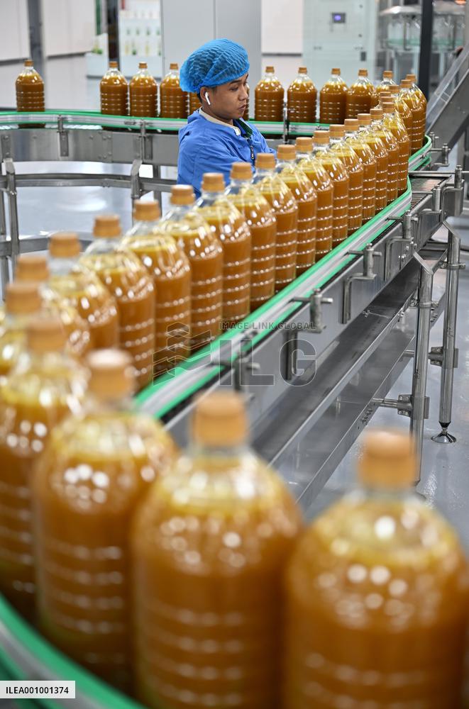 Xinhua Headlines: China speeds up construction of Hainan Free Trade Port