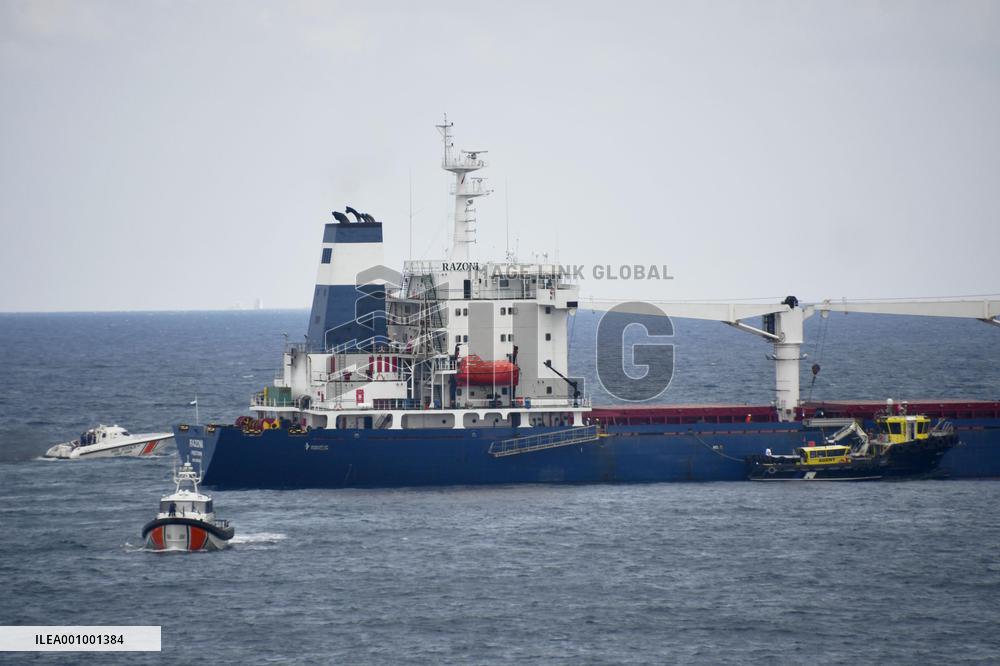 Ukrainian grain shipment