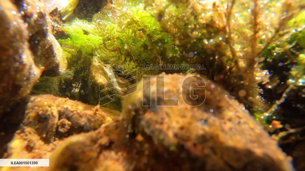 Scientists investigate micro ecosystem in Yangtze headwaters