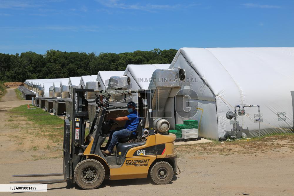 U.S.-NEW JERSEY-CUMBERLAND-CHINESE EDIBLE FUNGI SUPPLIER