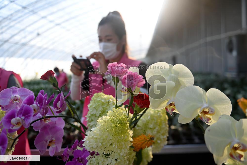 CHINA-SHANDONG-RIZHAO-HORTICULTURE (CN)