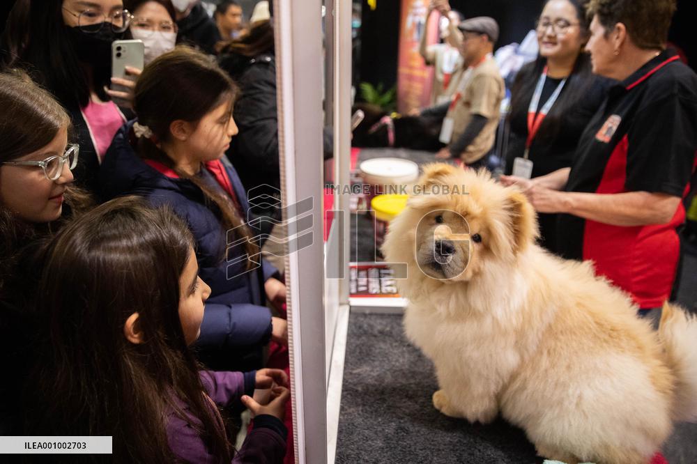 AUSTRALIA-SYDNEY-DOG LOVERS SHOW