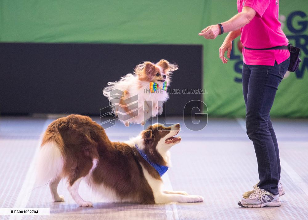 AUSTRALIA-SYDNEY-DOG LOVERS SHOW