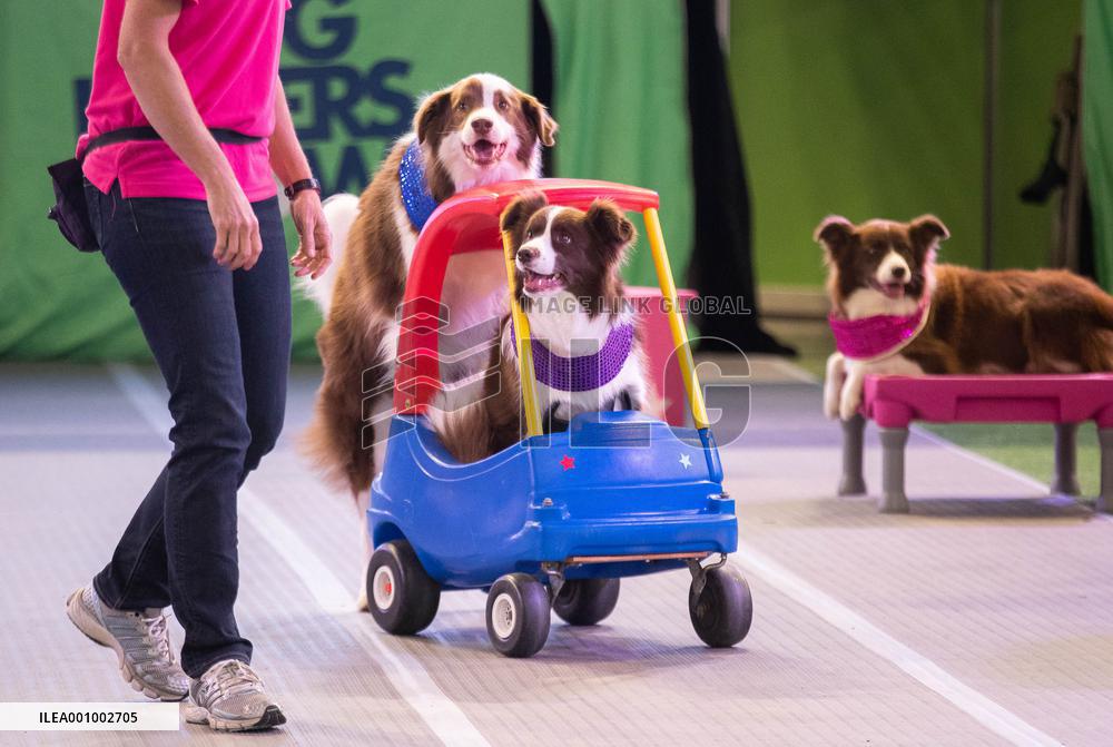 AUSTRALIA-SYDNEY-DOG LOVERS SHOW