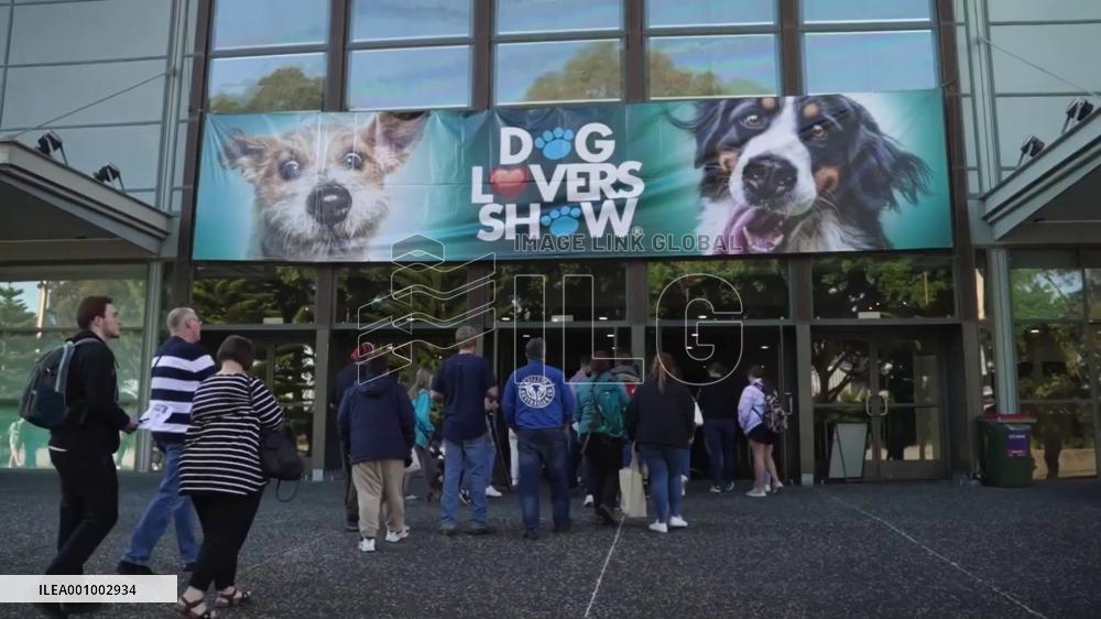 Dog Lovers Show returns to Sydney after three-year hiatus