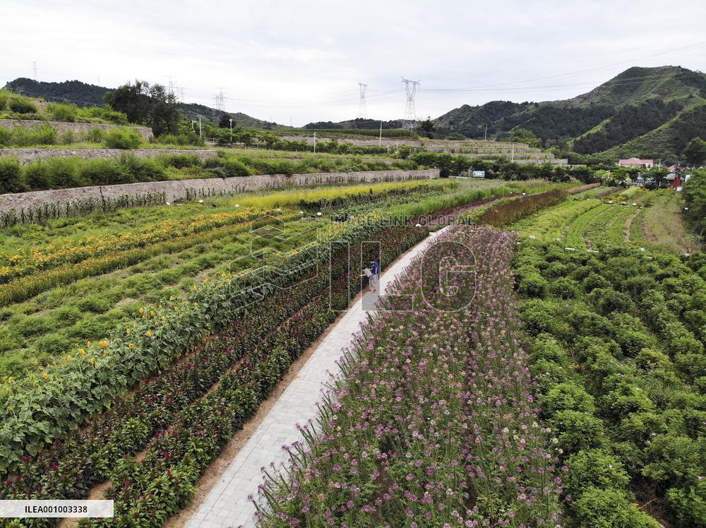 CHINA-HEBEI-LUANPING-TOURISM (CN)