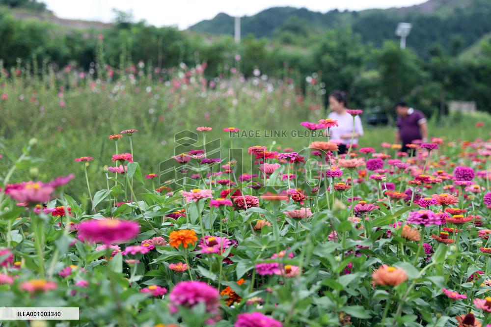 CHINA-HEBEI-LUANPING-TOURISM (CN)