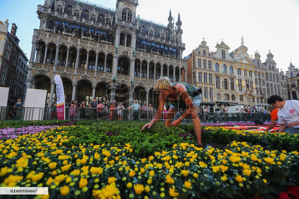 BELGIUM-BRUSSELS-FLOWER CARPET
