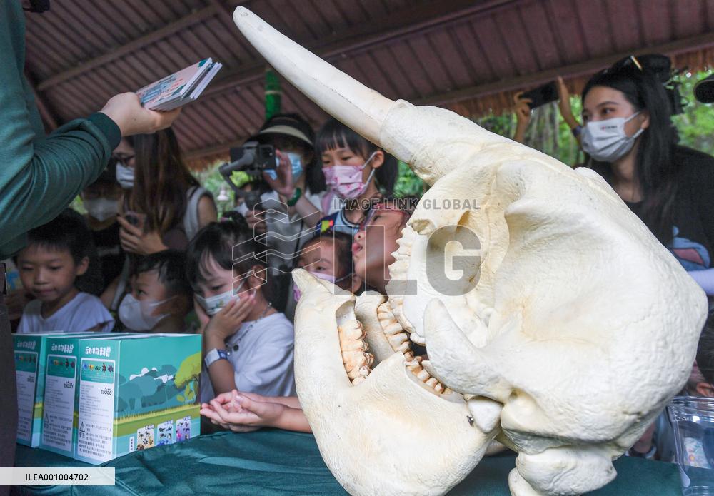 CHINA-GUANGDONG-WORLD ELEPHANT DAY-ACTIVITY (CN)
