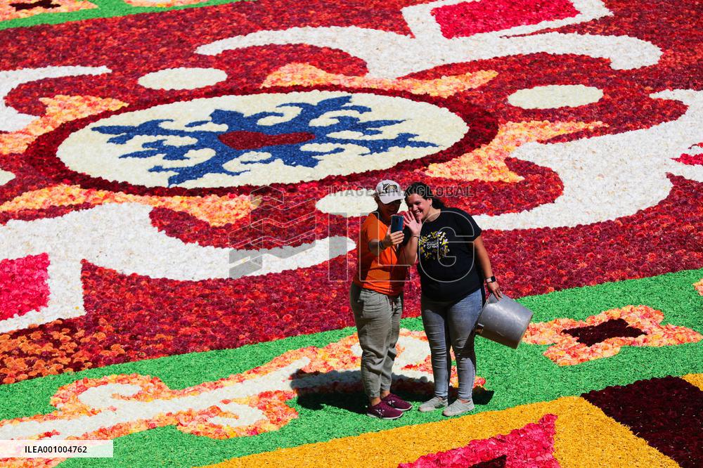 BELGIUM-BRUSSELS-FLOWER CARPET