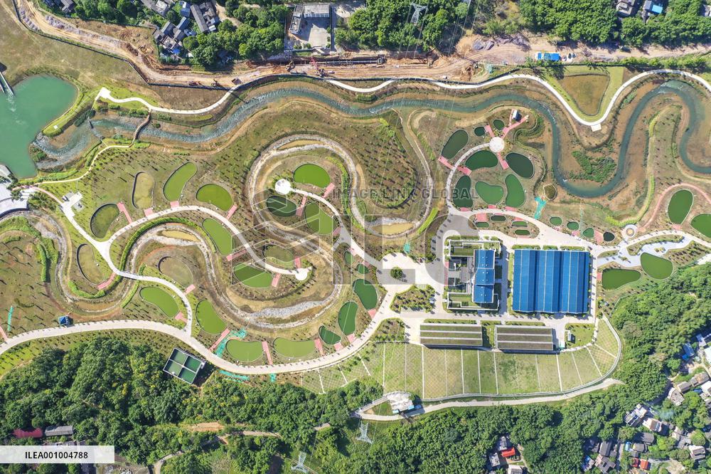 CHINA-GUANGXI-GUIPING-DATENG GORGE PROJECT-FISH PROTECTION (CN)