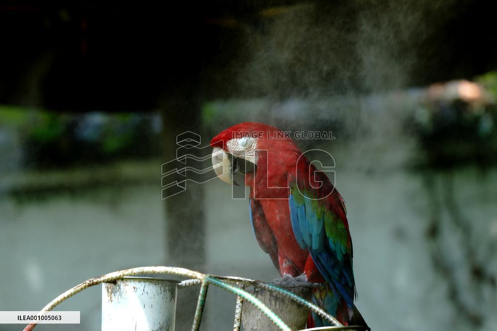 CHINA-SHANGHAI-NATURE-ANIMALS COOLING OFF (CN)