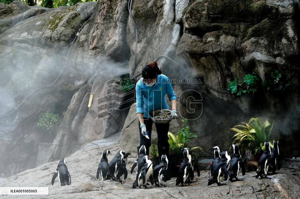 CHINA-SHANGHAI-NATURE-ANIMALS COOLING OFF (CN)
