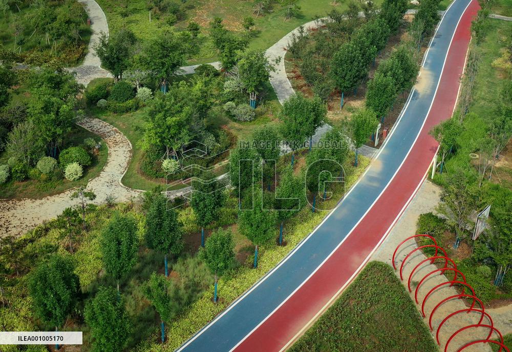 CHINA-HENAN-YELLOW RIVER-ECOLOGICAL CORRIDOR (CN)