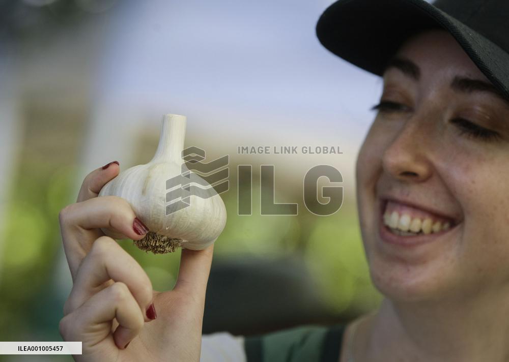 CANADA-RICHMOND-GARLIC FESTIVAL