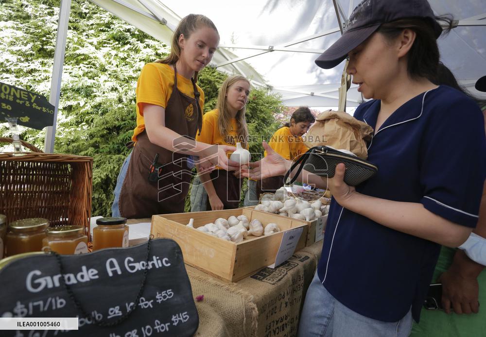 CANADA-RICHMOND-GARLIC FESTIVAL