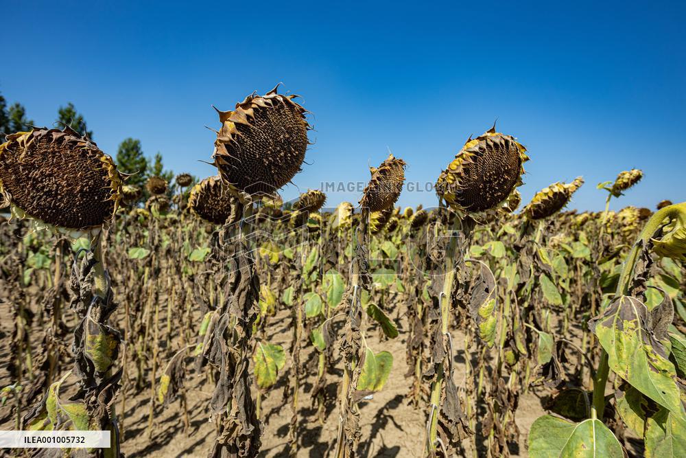 CROATIA-DROUGHT-HEAT