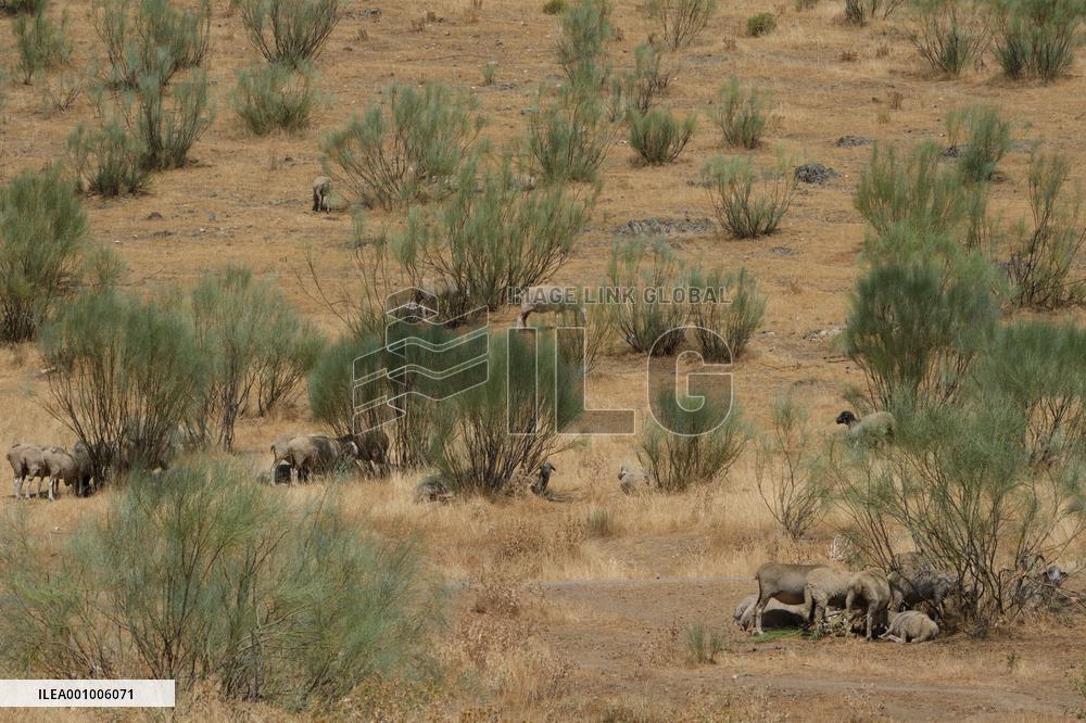 SPAIN-EXTREMADURA-DROUGHT