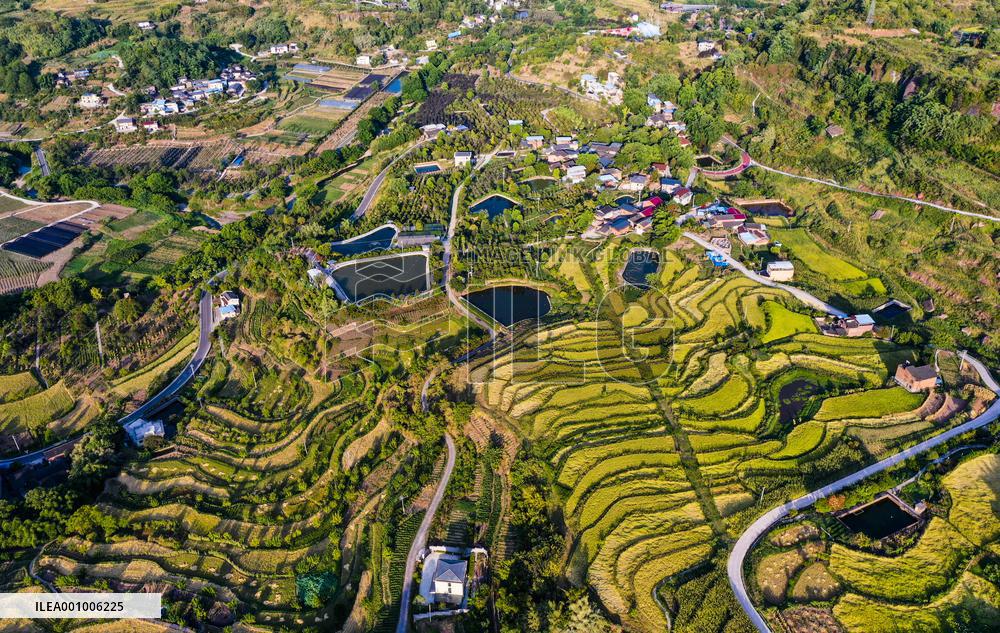 CHINA-CHONGQING-BEIBEI-SCENERY (CN)