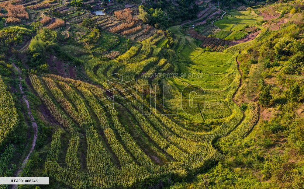 CHINA-CHONGQING-BEIBEI-SCENERY (CN)